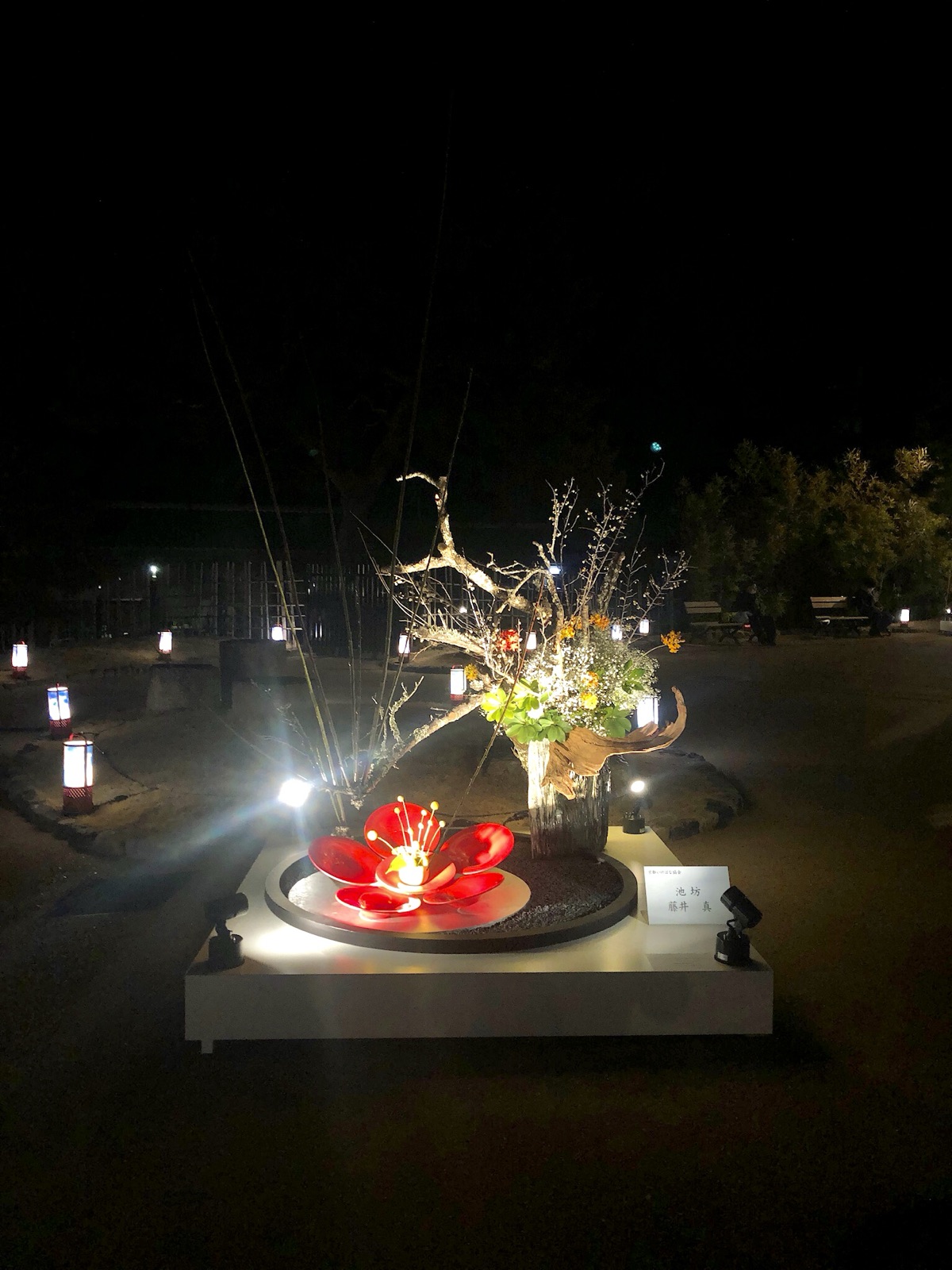 夜のいけばなインスタレーション